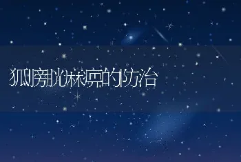 狐膀胱麻痹的防治