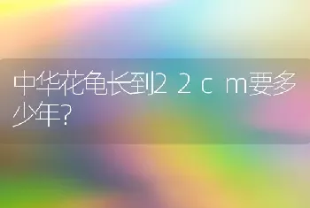 中华花龟长到22cm要多少年？