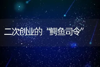 二次创业的“鳄鱼司令”