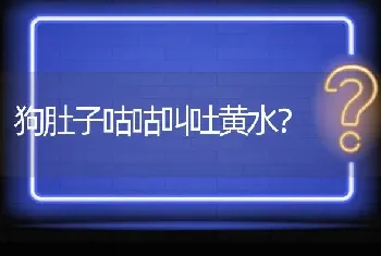 狗肚子咕咕叫吐黄水？