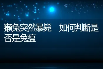 鳗鱼鳃霉病的防治技术