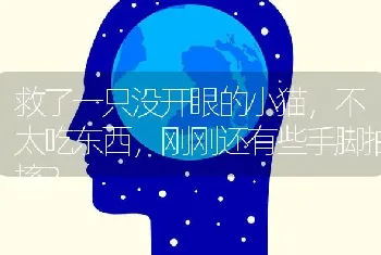 救了一只没开眼的小猫，不太吃东西，刚刚还有些手脚抽搐？