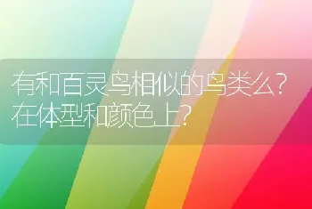 有和百灵鸟相似的鸟类么？在体型和颜色上？