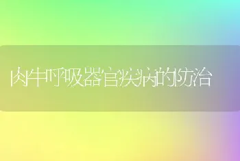 肉牛呼吸器官疾病的防治