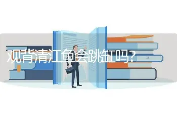 观背清江鱼会跳缸吗？