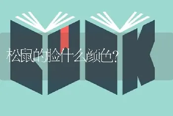 兔子不想养了该怎么办？