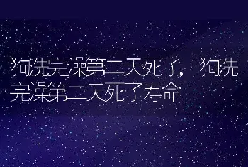 狗洗完澡第二天死了，狗洗完澡第二天死了寿命