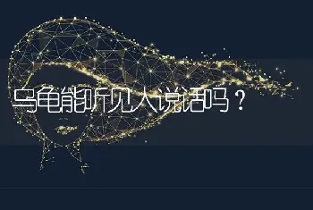 乌龟能听见人说话吗？