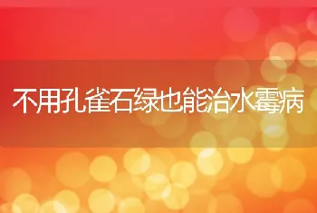 泰国笋壳鱼实用养殖技术