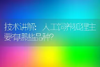 技术讲解:人工饲养狐狸主要有哪些品种？