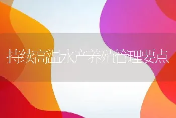 持续高温水产养殖管理要点