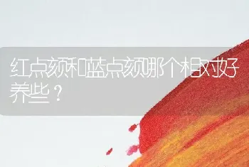 红点颏和蓝点颏哪个相对好养些？