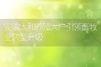 安徽太和养殖大户引领畜牧业转型升级