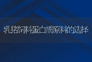 乳猪饲料蛋白质原料的选择