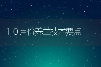 １０月份养兰技术要点