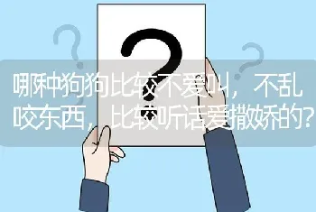 哪种狗狗比较不爱叫，不乱咬东西，比较听话爱撒娇的？