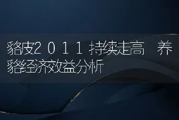 貉皮2011持续走高 养貉经济效益分析