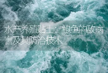 水产养殖贴士：鲍鱼的敌病害及其防治技术