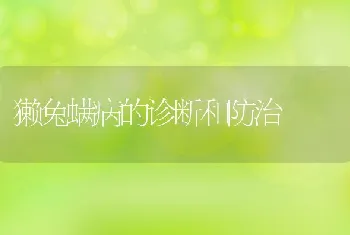 獭兔螨病的诊断和防治