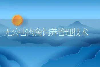 无公害肉兔饲养管理技术