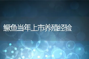 鳜鱼当年上市养殖经验