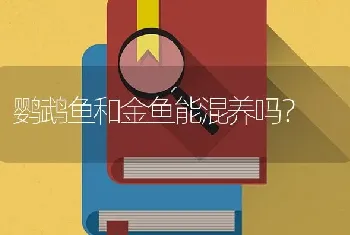 鹦鹉鱼和金鱼能混养吗？