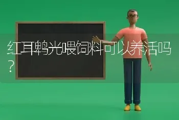 红耳鹎光喂饲料可以养活吗？