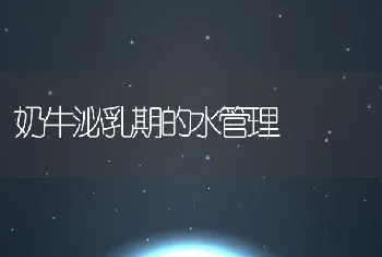 欧洲：鳗鱼红头病的防治技巧