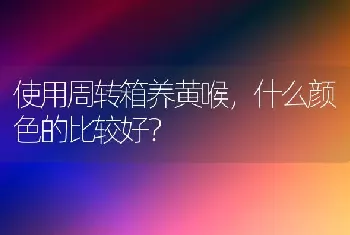 使用周转箱养黄喉，什么颜色的比较好？