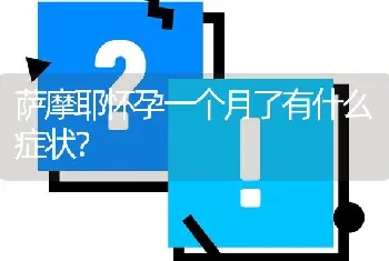 萨摩耶怀孕一个月了有什么症状？