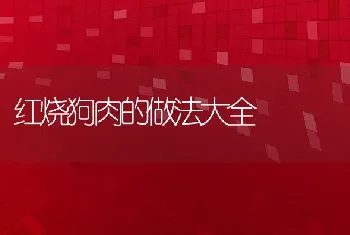 红烧狗肉的做法大全