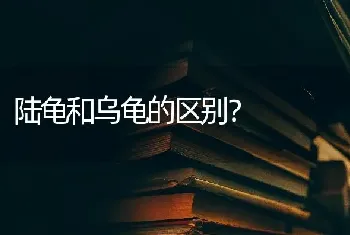 陆龟和乌龟的区别？