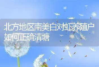 北方地区南美白对虾养殖户如何正确清塘