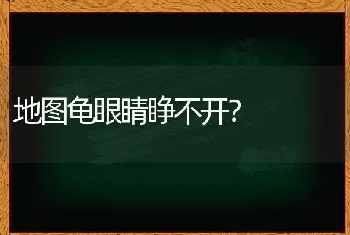 地图龟眼睛睁不开？