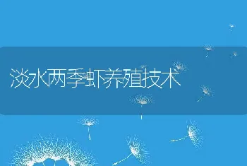 淡水两季虾养殖技术