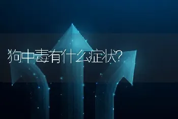 狗中毒有什么症状？