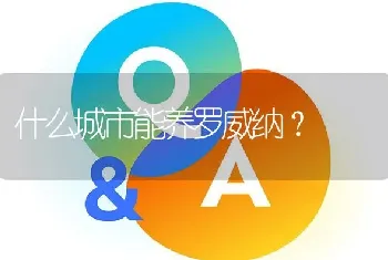 什么城市能养罗威纳？