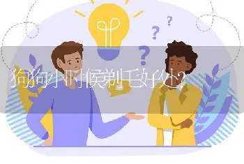 狗狗小时候剃毛好处？