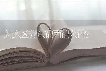 怎么区分东锦西锦杂锦？