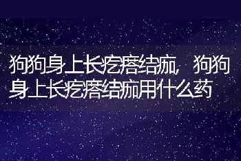 狗狗身上长疙瘩结痂，狗狗身上长疙瘩结痂用什么药