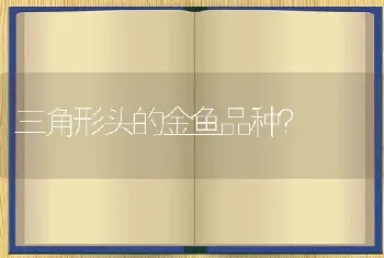 蓝星鱼怎么辨公母？