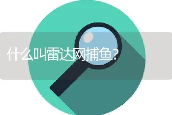 什么叫雷达网捕鱼？