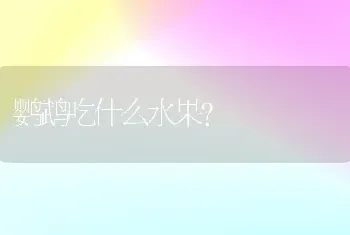 鹦鹉吃什么水果？