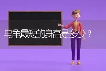 乌龟最短的身高是多少？