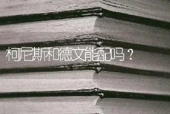 拉布拉多成年犬怎么训练？