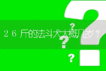 26斤的法斗犬大概几岁？