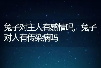 兔子对主人有感情吗，兔子对人有传染病吗