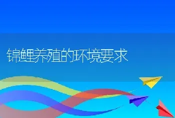 锦鲤养殖的环境要求