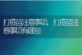 打疫苗注意事项，打疫苗注意事项有哪些