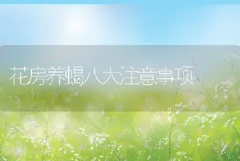 花房养蝎八大注意事项